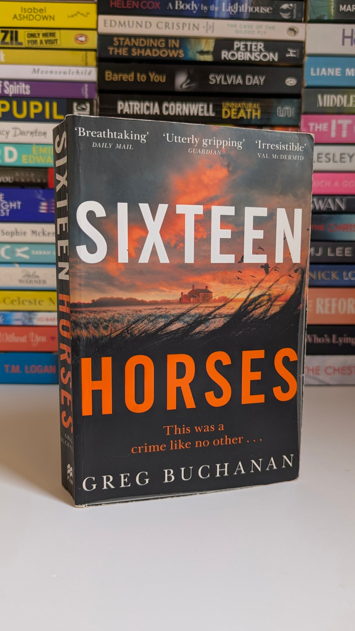 Sixteen Horses