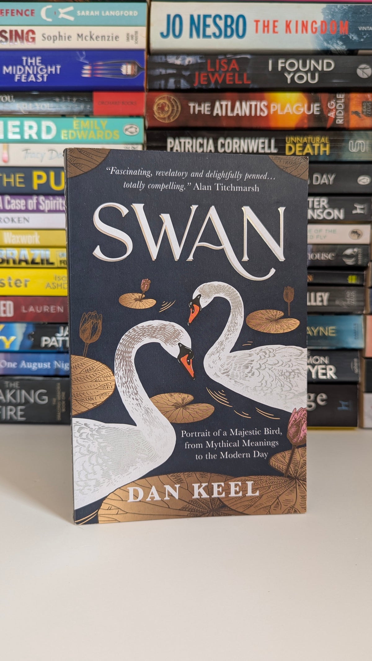 Swan