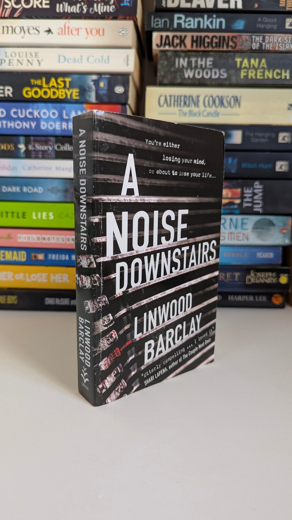 A Noise Downstairs - Chapter Two